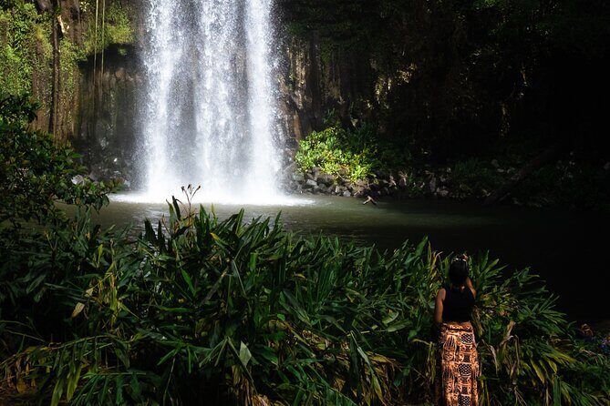 Cairns Day Tour Private Waterfall - A Closer Look at the Cairns Private Waterfall Tour
