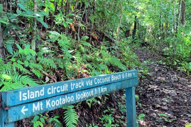 Cairns: Explore Dunk Island Day Tour - The Return Journey and End of the Day