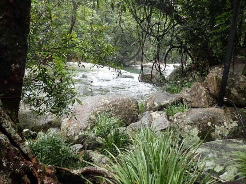 Cairns: Explorer Tour- Cairns Waterfalls - An In-Depth Look at the Tour Itinerary
