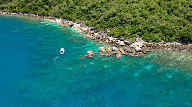 Cairns: Fitzroy Island Ferry, optional lunch, tours, snorkel - Key Points