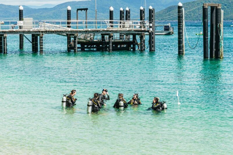 Cairns: Fitzroy Island Full-Day Trip with Optional Extras - FAQ