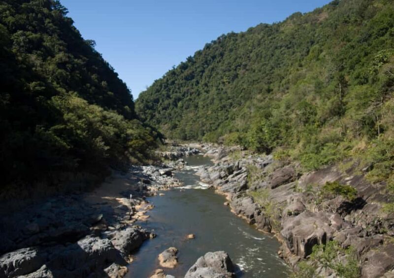 Cairns: Forest and Waterfalls Half-Day 4WD Guided Adventure - Scenic Drive Back and Final Views
