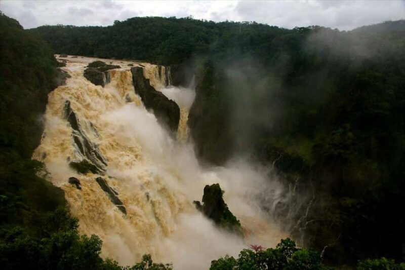 Cairns: Forest and Waterfalls Half-Day 4WD Guided Adventure - What’s Included