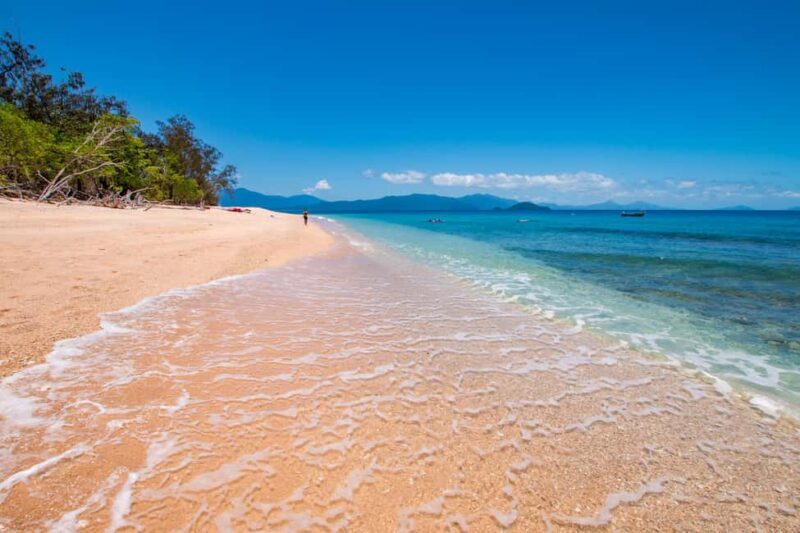 Cairns: Frankland Islands Great Barrier Reef Tour - The Experience: Pros and Cons