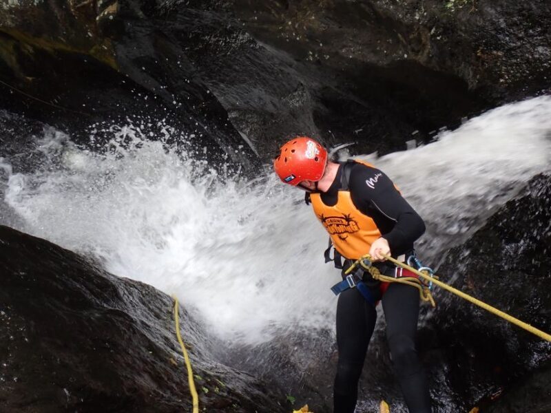 Cairns Full-Day Canyoning Adventure tour - A Closer Look at the Cairns Canyoning Experience