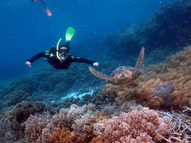 Cairns: Full Day Great Barrier Reef Pontoon Experience - Final Thoughts