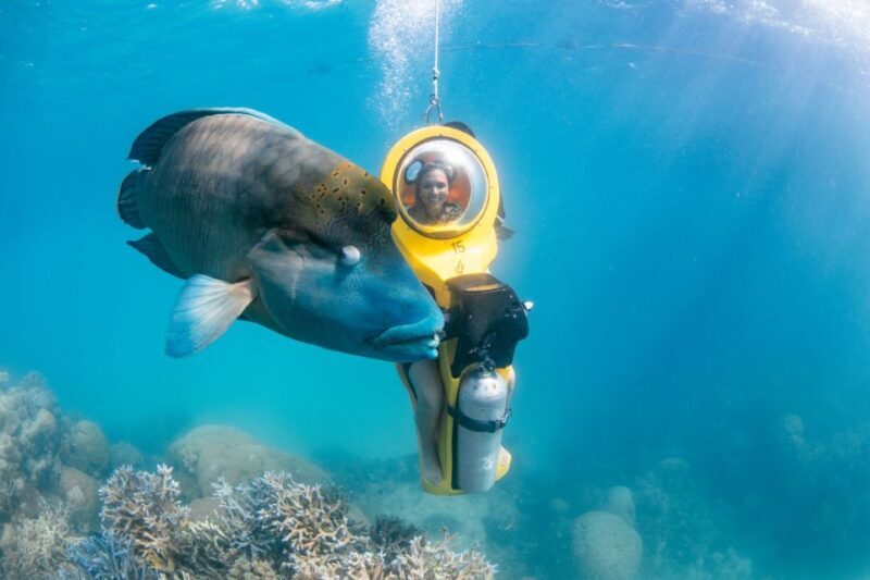 Cairns: Full Day Great Barrier Reef Pontoon Experience - FAQ