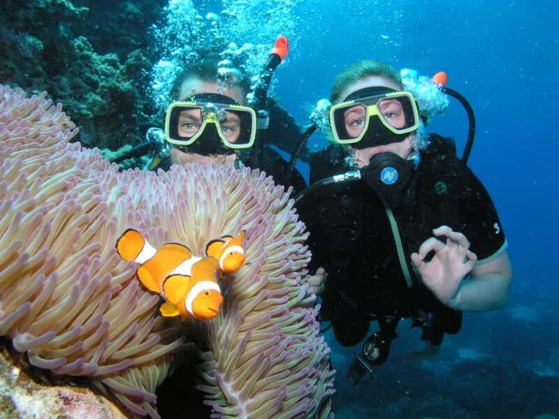 Cairns: Great Barrier Reef 3-Day Liveaboard Dive Trip - Key Points