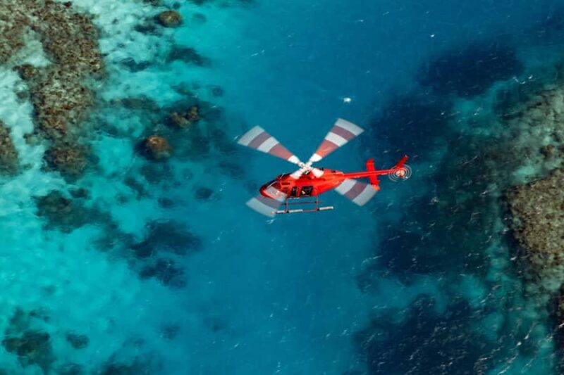 Cairns: Great Barrier Reef 30-Minute Helicopter Flight - An In-Depth Look at the Cairns Helicopter Reef Tour