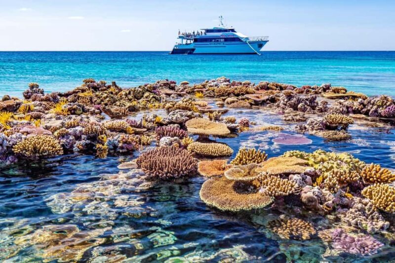 Cairns: Great Barrier Reef 5 Day Learn to Dive Course - Key Points