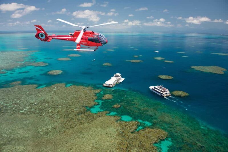 Cairns: Great Barrier Reef Cruise & 10 Minute Helicopter - Exploring the Itinerary: What Makes This Tour Special