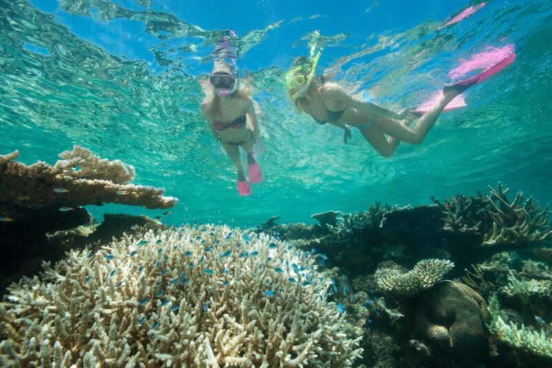 Cairns: Great Barrier Reef Cruise & Scenic Helicopter Flight - Practical Tips for Travelers