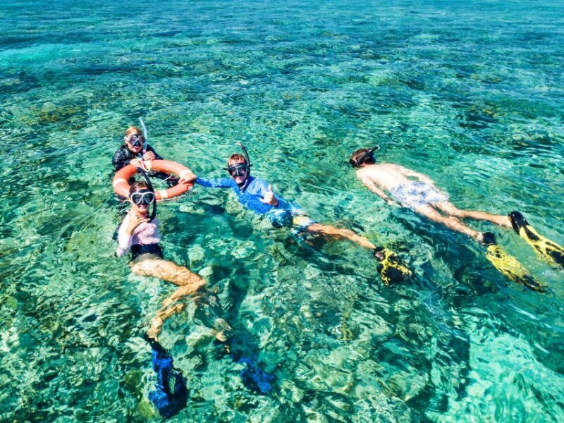 Cairns: Great Barrier Reef Full-Day Tour - A Closer Look at the Cairns Great Barrier Reef Tour