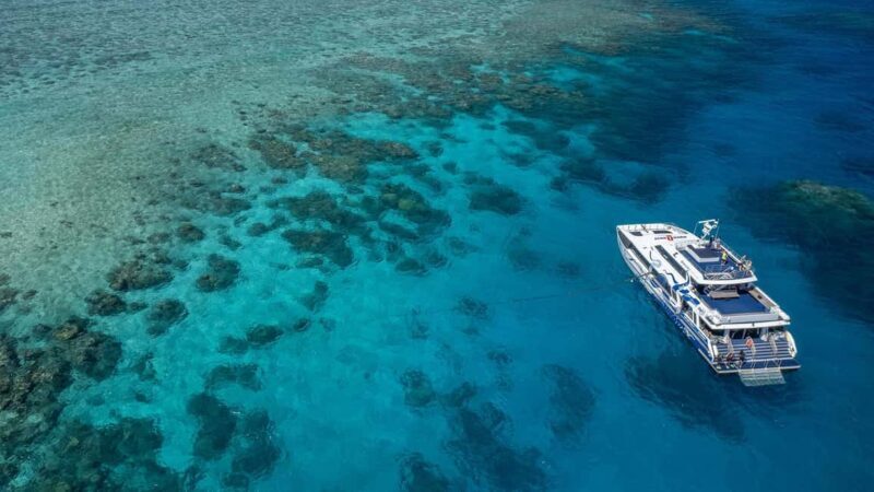 Cairns: Great Barrier Reef Full-Day Tour - FAQs