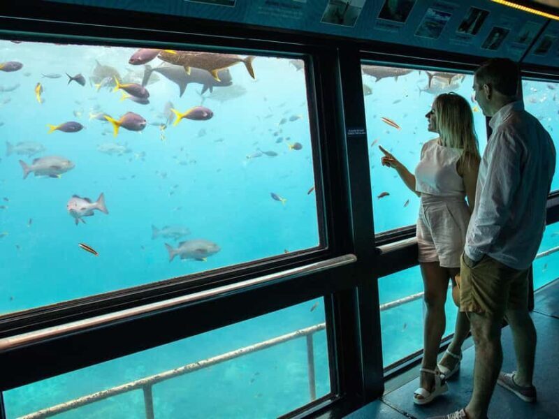 Cairns: Great Barrier Reef Pontoon - Indulgence Package - Key Points
