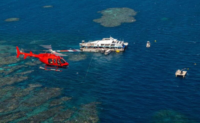 Cairns: Great Barrier Reef Pontoon - Indulgence Package - Authentic Feedback from Reviewers