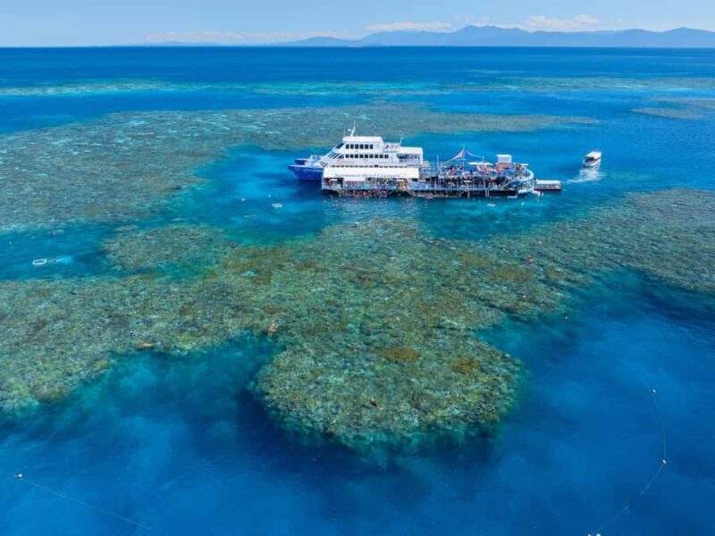 Cairns: Great Barrier Reef Pontoon, Travel by Helicopter - Authentic Insights from Past Participants