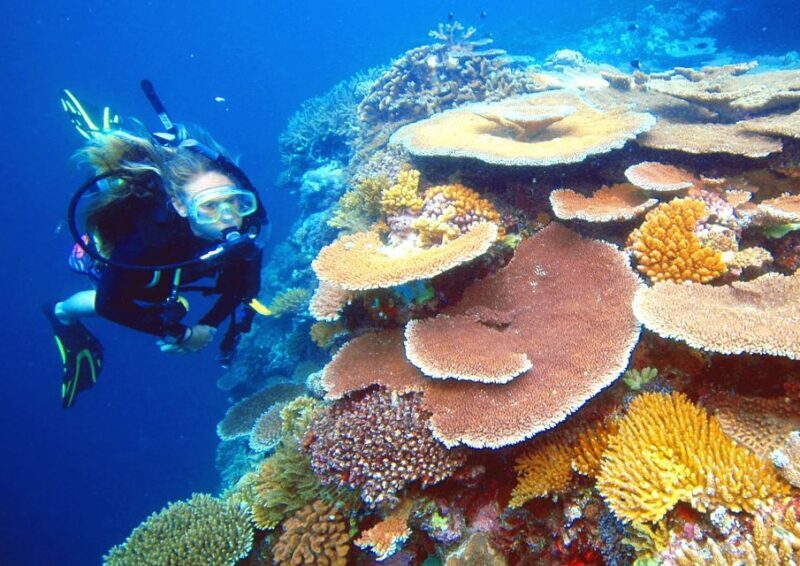 Cairns: Great Barrier Reef Pontoon with Water Activities - Who Will Love This Tour?