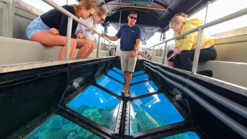 Cairns: Great Barrier Reef Pontoon with Water Activities - The Sum Up