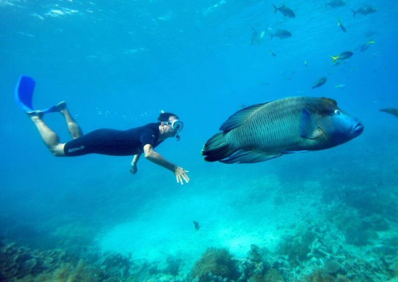 Cairns: Great Barrier Reef Pontoon with Water Activities - FAQ