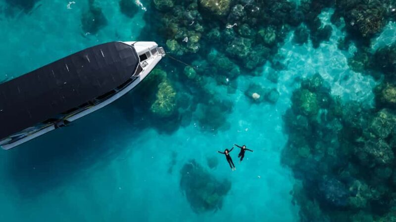 Cairns: Great Barrier Reef Small Group Snorkelling Tour - An Overview of What to Expect