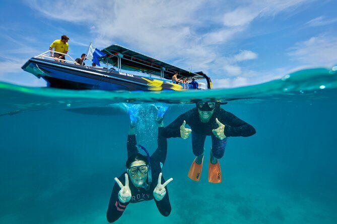 Cairns Great Barrier Reef Snorkel and Flight Adventure - Authentic Experiences & Traveler Insights