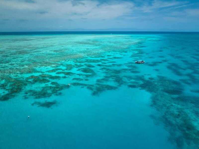 Cairns: Great Barrier Reef Snorkel and Scenic Flight - Introduction