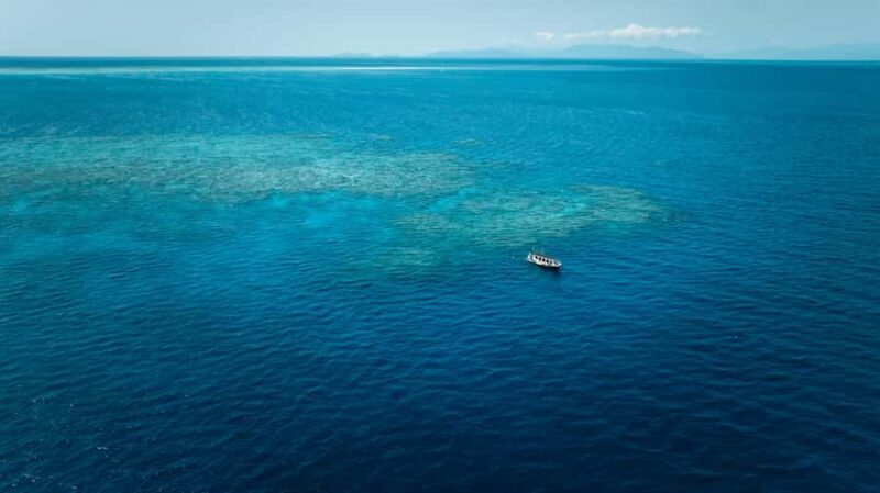 Cairns: Great Barrier Reef Snorkel and Scenic Flight - The Sum Up