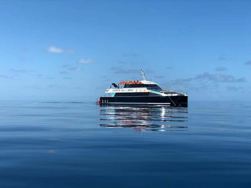 Cairns: Great Barrier Reef Snorkeling Cruise with Lunch - Overview of the Experience