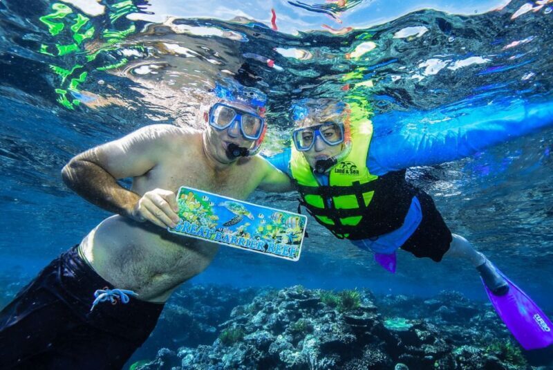 Cairns: Great Barrier Reef Snorkeling Cruise with Lunch - The Reef Sites: Why They Matter