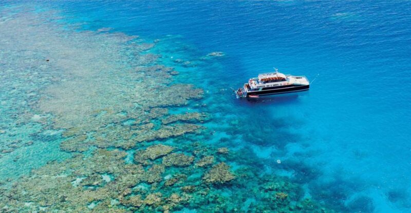 Cairns: Great Barrier Reef Snorkeling Cruise with Lunch - The Guides and Crew: Making It Special
