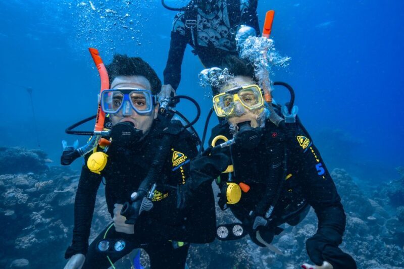 Cairns: Great Barrier Reef Snorkeling Cruise with Lunch - Possible Drawbacks or Considerations