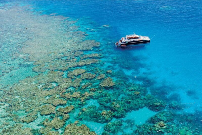 Cairns: Great Barrier Reef Snorkeling Cruise with Lunch - Who Is This Tour Best For?