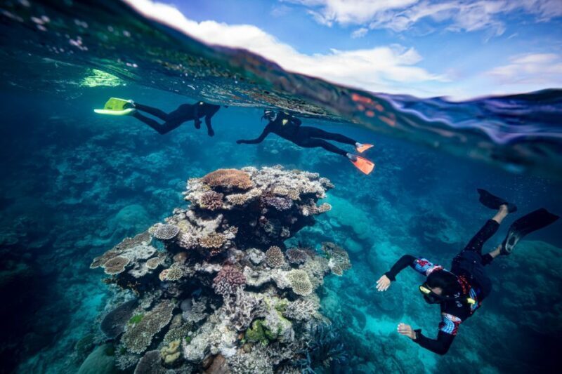 Cairns: Great Barrier Reef Snorkeling Cruise with Lunch - Final Thoughts