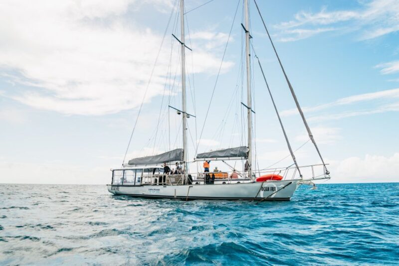 Cairns: Green Island & Great Barrier Reef Sailing Tour - A Truly Authentic Sailing Experience