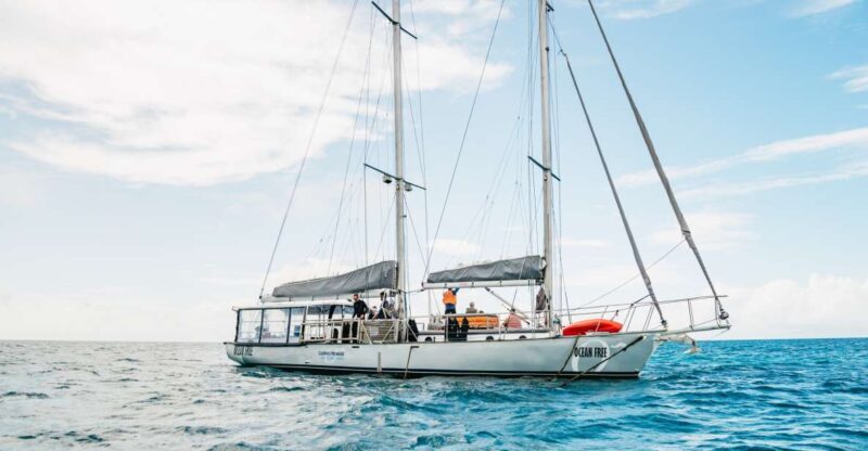 Cairns: Green Island & Great Barrier Reef Sailing Tour - Who Is This Tour Best For?