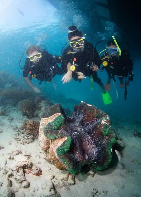 Cairns: Green Island + Moore Reef Activity Platform Combo - Who Will Love This Tour?
