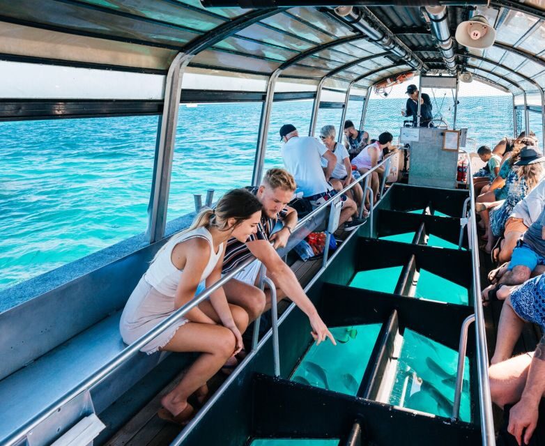 Cairns: Green Island Snorkelling or Glass Bottom Boat - Value for Money & Practical Tips