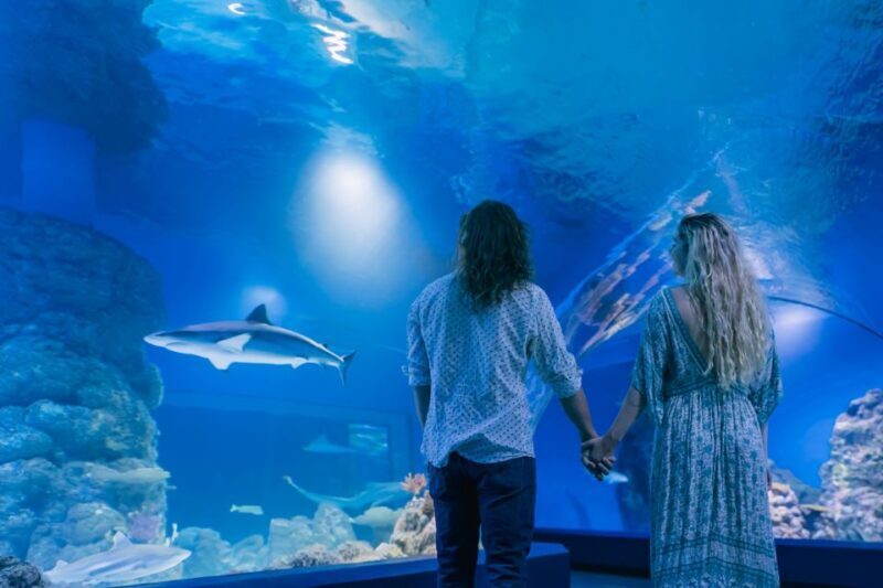 Cairns: Guided Twilight Tour of the Aquarium - Frequently Asked Questions