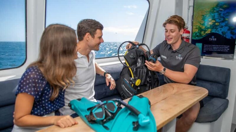 Cairns: Half-Day Outer Reef Snorkel Tour - What to Expect on the Tour