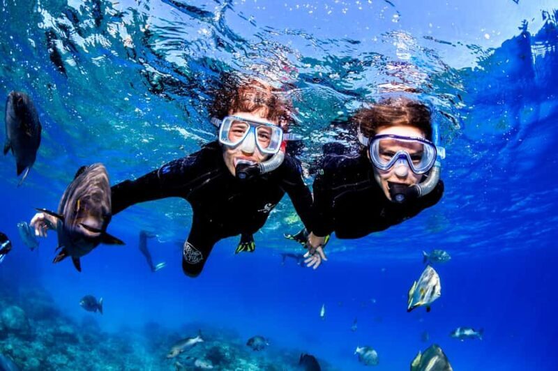Cairns: Half-Day Outer Reef Snorkel Tour - Pricing and Value