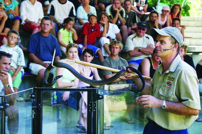 Cairns: Hartley's Crocodile Adventures Visit with Transfer - Practical Tips for Making the Most of Your Visit