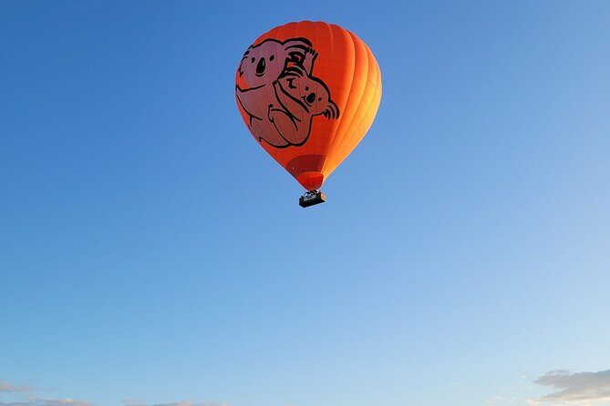 Cairns Hot Air Balloon Flight + Bad Fishy Jet Boating Cairns - Analyzing the Value and Experience