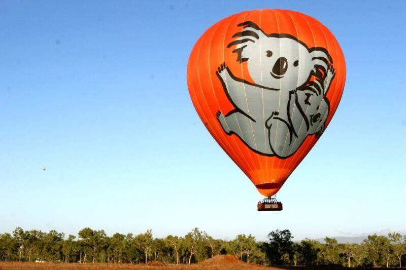 Cairns: Hot Air Balloon Flight with Transfers - An In-Depth Look at the Cairns Hot Air Balloon Experience