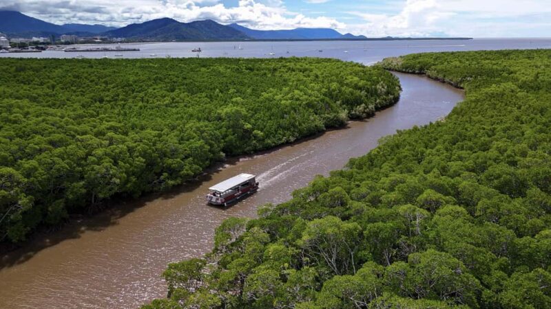 Cairns: Immersive Small Group Indigenous Cultural Experience - A Genuine Look at the Cairns Indigenous Cultural Experience