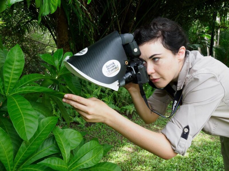 Cairns: Insect Photography Tour of Cairns Botanic Gardens - FAQ