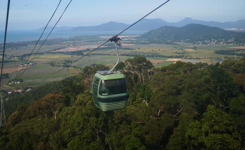 Cairns: Kuranda Scenic Railway & Skyrail Small Group Tour - An In-Depth Look at the Cairns: Kuranda Scenic Railway & Skyrail Tour