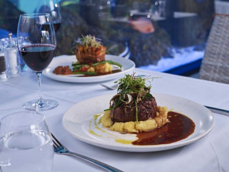 Cairns: Night at the Aquarium Guided Tour & 2 Course Dinner - An In-Depth Look at the Night at the Aquarium Experience