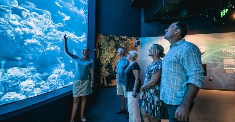 Cairns: Night at the Aquarium Guided Tour & 2 Course Dinner - Summary: Who Is This Tour Best For?