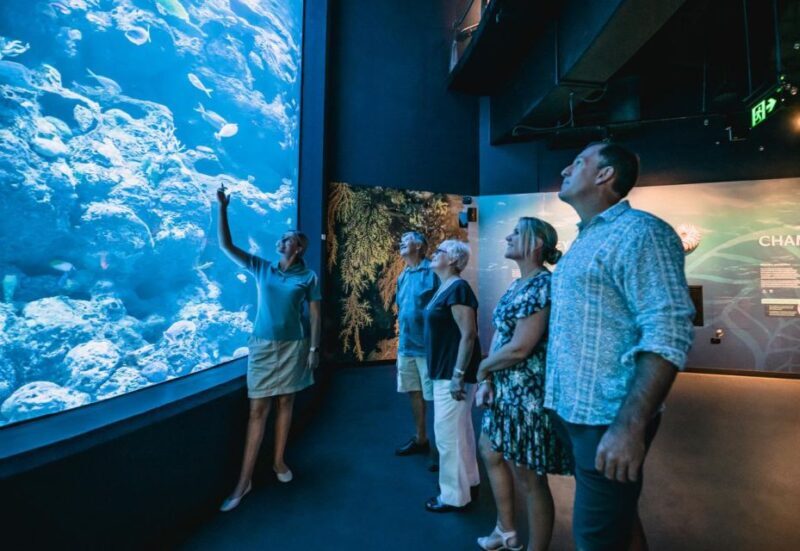 Cairns: Night at the Aquarium Guided Tour - Final Thoughts